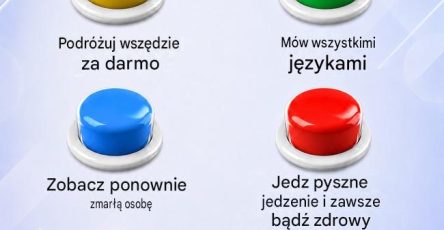 2a033836 f0ed 490d 8bc0 8ed1b3ea9be0 1