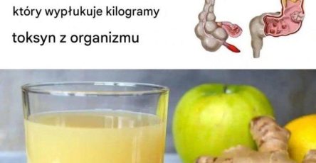 2a4b7e7b 0cd1 4904 9c96 62adbcc9bdb1
