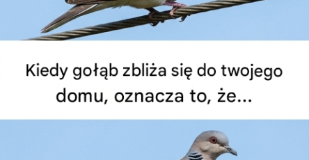 3478341d d88a 4db8 af67 573dd5233aa9 1