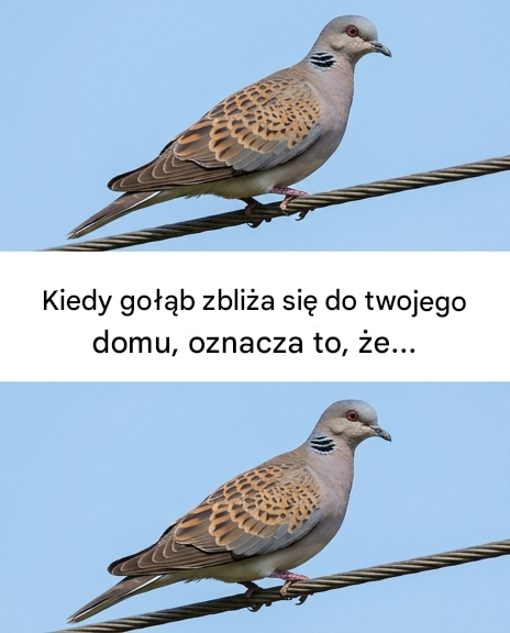 3478341d d88a 4db8 af67 573dd5233aa9 1