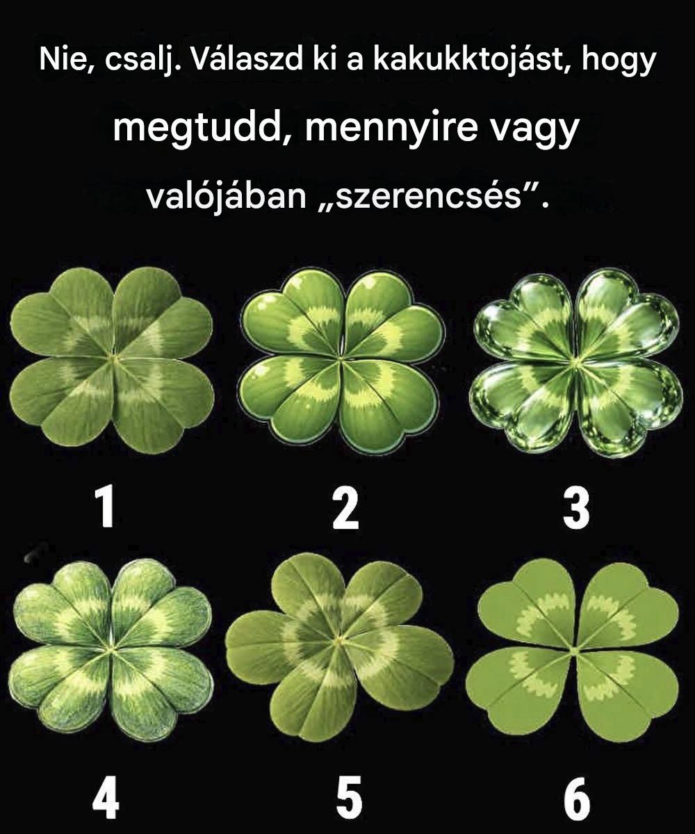 4d867e11 433a 4bb3 8277 46b5e7f3c5ff