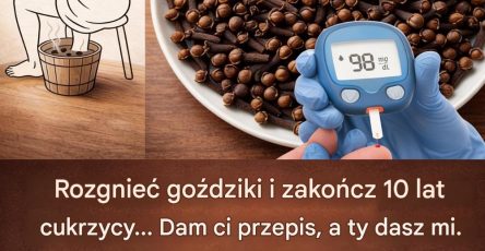 552ed98e8ac16d4195e00efa8fc83cc7 26 2