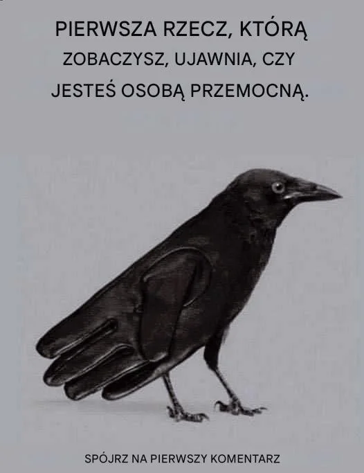 586923133 1280200040802619 551000223855089763 n