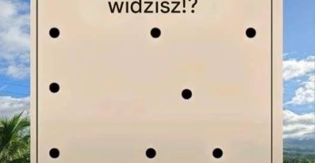 667391140 122160635576802865 1279195100465885208 n