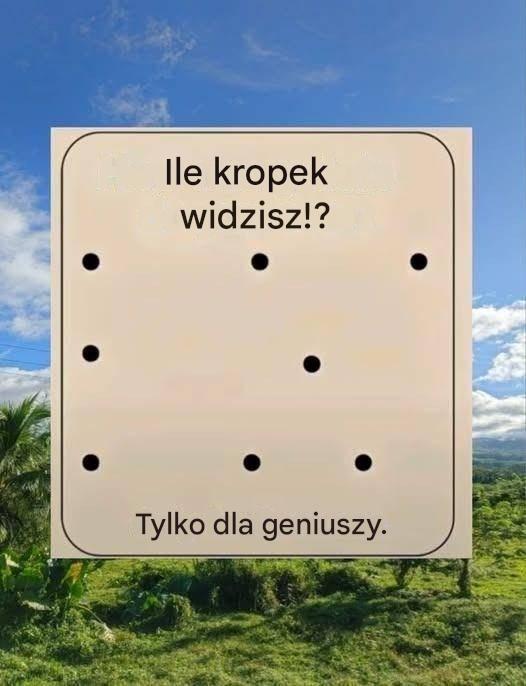 667391140 122160635576802865 1279195100465885208 n