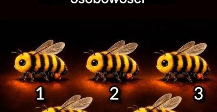 672675060 964000889332912 879156671862787394 n