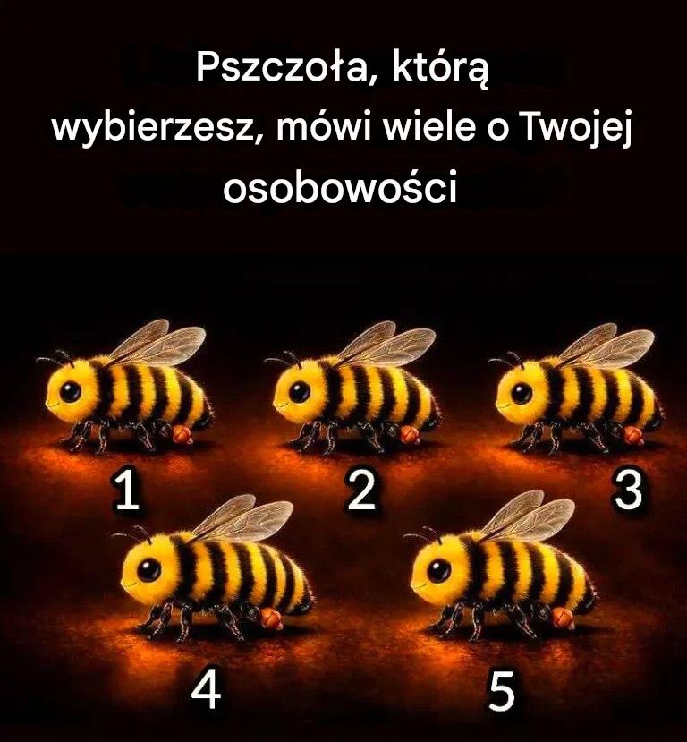 672675060 964000889332912 879156671862787394 n
