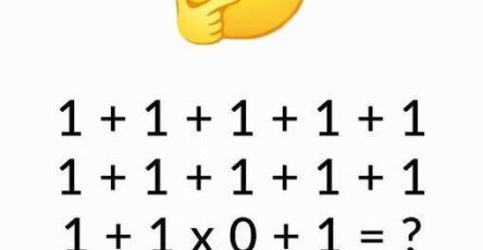 681219202 2617789438638495 3212444896507797064 n