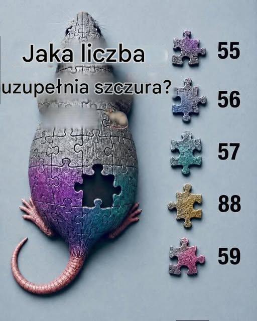 722336779 122141483457080571 4828591586337983498 n