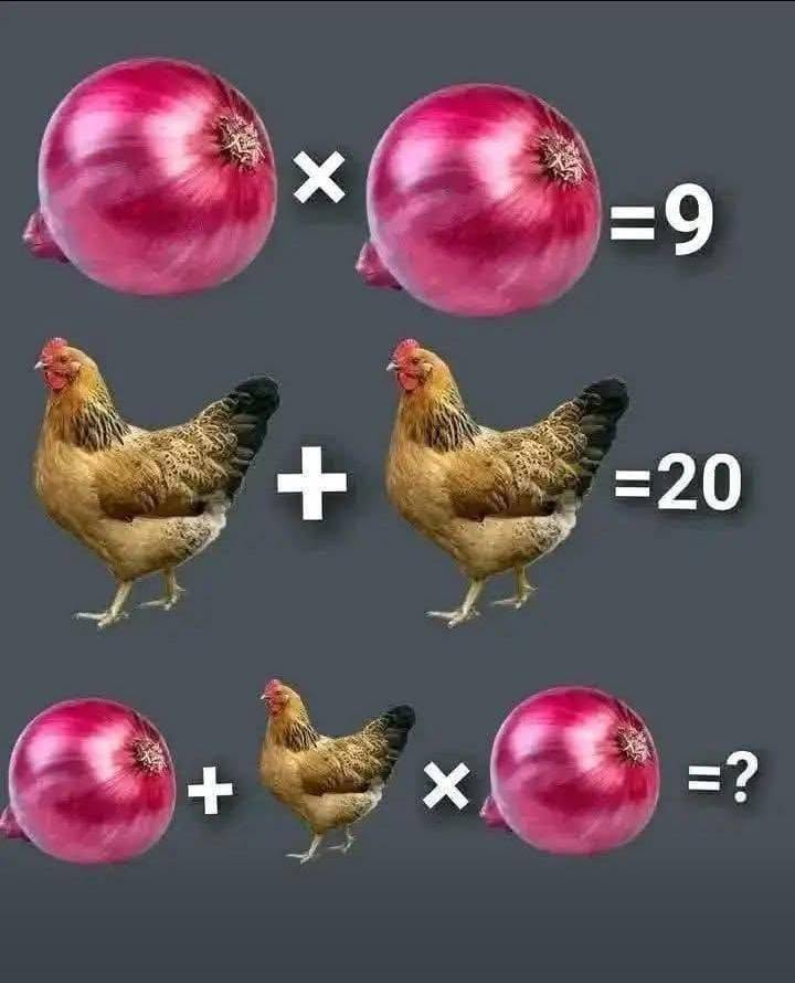 723613474 122112693321213314 3243300411122006877 n