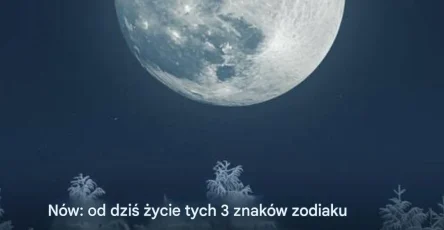 727823783 122316468686196582 2282783902120133322 n