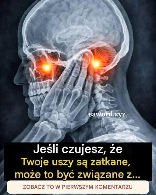 727823783 122316468686196582 2282783902120133322 n