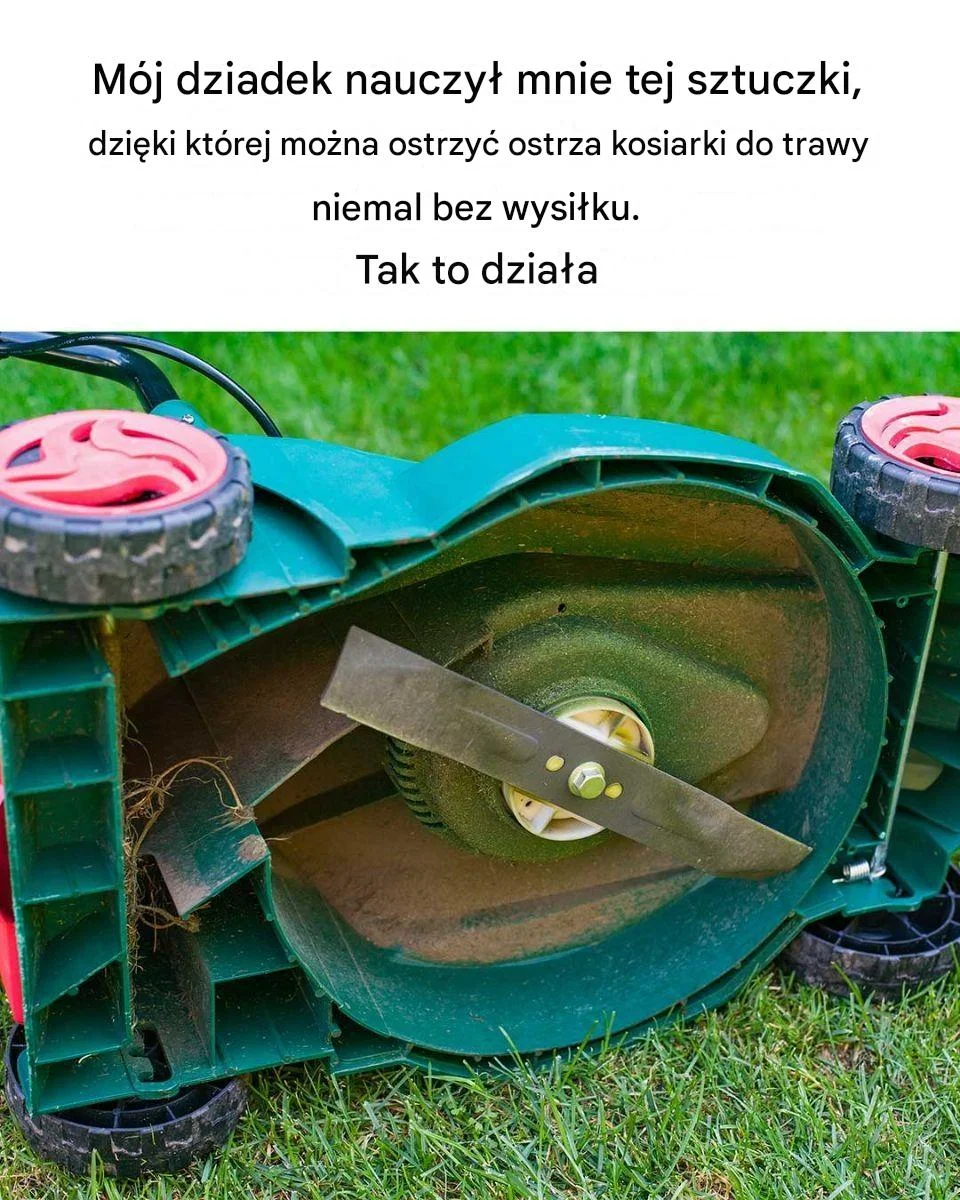 727823783 122316468686196582 2282783902120133322 n