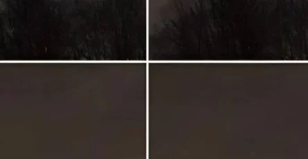 727823783 122316468686196582 2282783902120133322 n