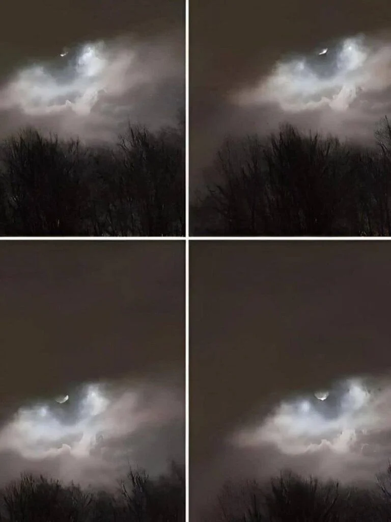 727823783 122316468686196582 2282783902120133322 n