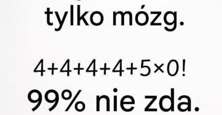 730016407 1049913007989630 1103886812066786770 n