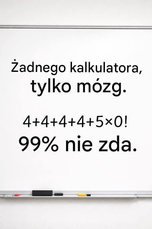 730016407 1049913007989630 1103886812066786770 n