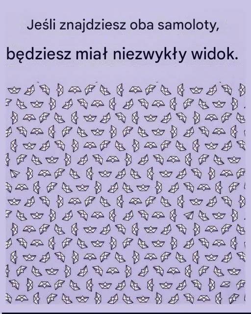 731068408 3377179315797536 589949511173095816 n 1