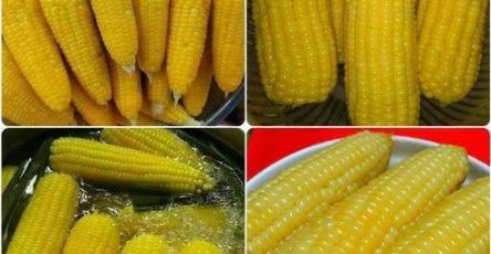 732663565 917408584709022 4394320309664629789 n (1)
