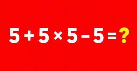 740400948 122121176864777187 60646572938063460 n