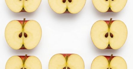 740562857 2470687046737982 383234737751800105 n