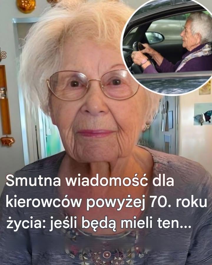 741882267 945301418562345 561178270808605396 n