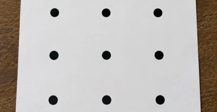 742324563 1537507948120610 1557146534473632464 n