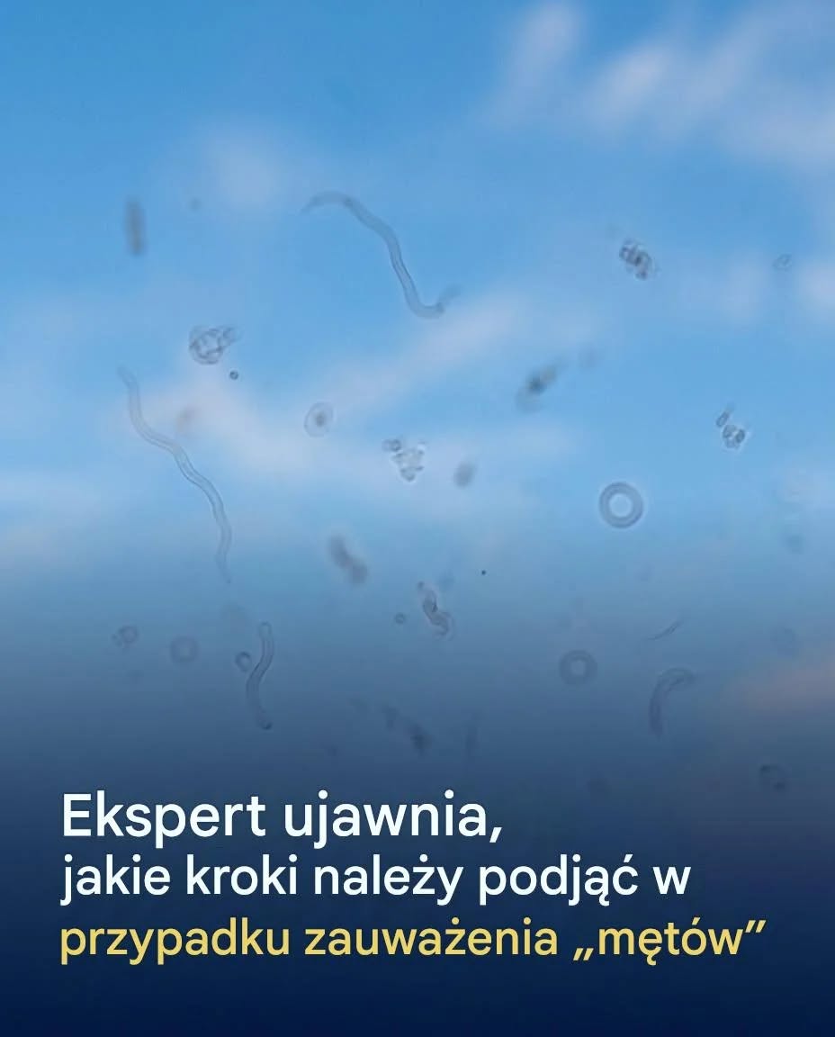 747889210 1613242070214603 1837775760226194074 n
