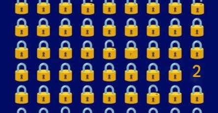 749023116 122112206325314747 882355700616322848 n
