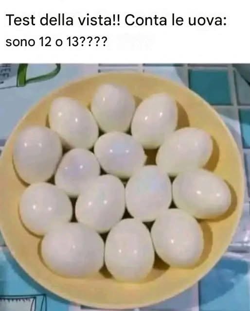 754825101 1965622264825633 8988999897704007847 n