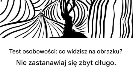 7ccbdb15 9a69 420a 9a99 98056fad007a