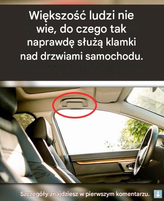 931dd171 5194 4291 8e7d 2580d83b0bdc