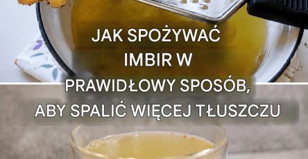 9335162e 1501 42c0 a4e4 ce0a18e1d313