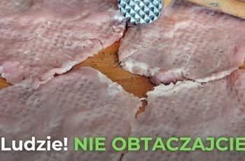 FB IMG