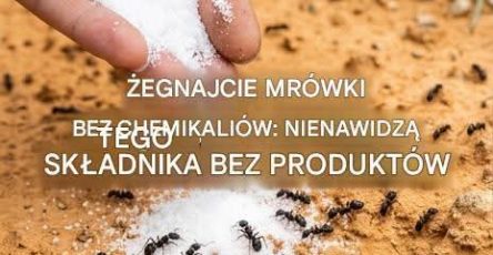 FB IMG