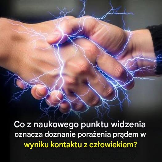 A0802d5d 4b31 4dfc a929 2195ea3dd4b2