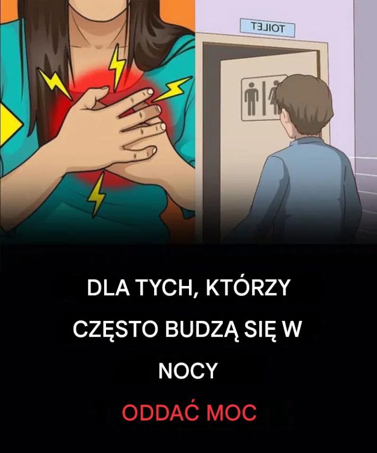 Dd68a661 388b 497c 85df 66daa6bdc63f 768x922