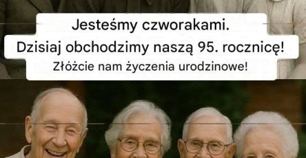 Fb816246 9b5d 4a5b 98f9 60035cbd2206