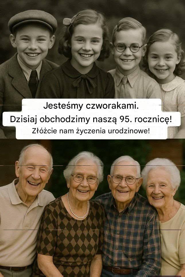 Fb816246 9b5d 4a5b 98f9 60035cbd2206
