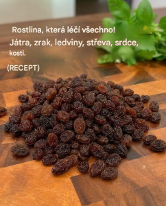 Translated image cs