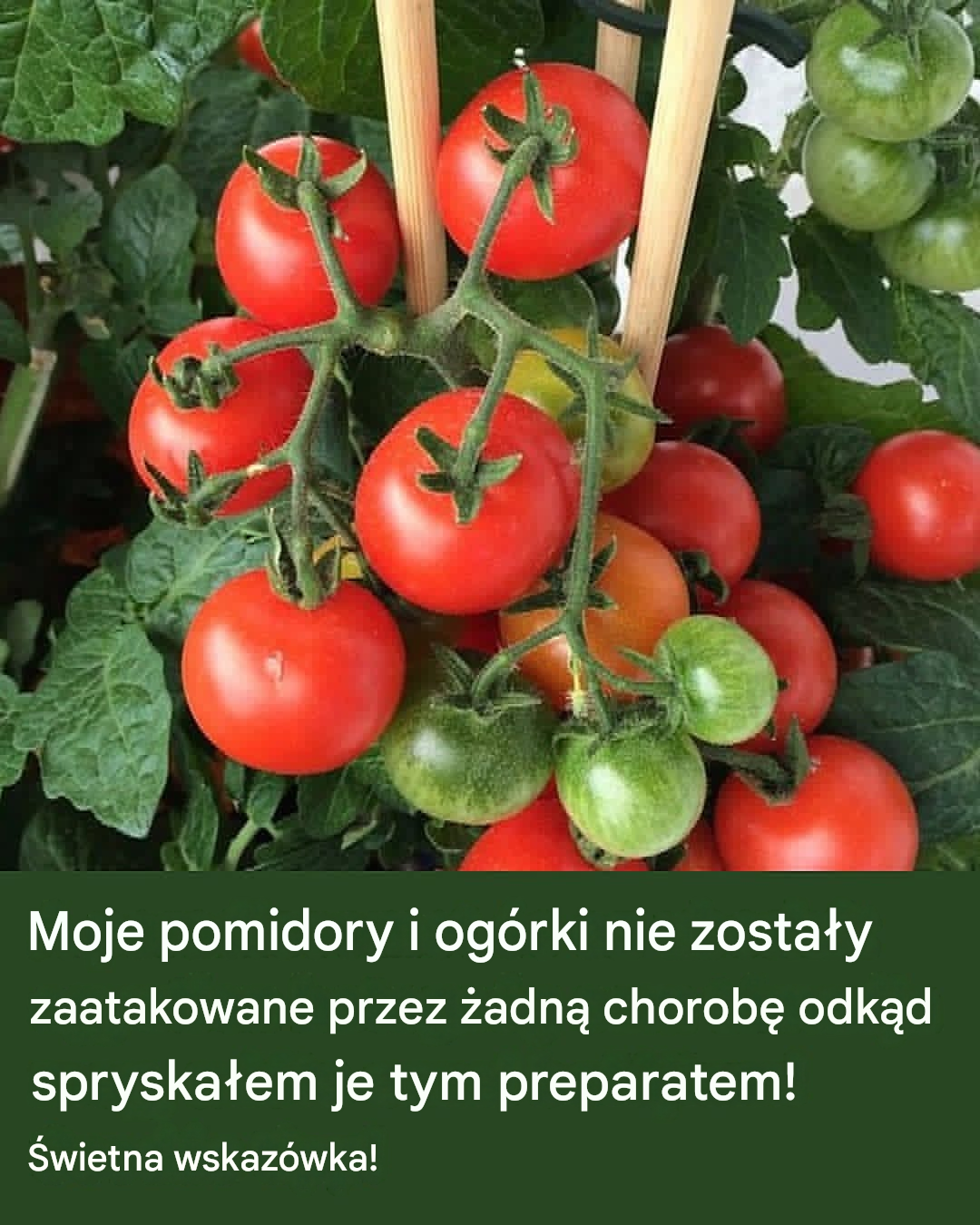 Translated image pl 2026 06 13T141013.925