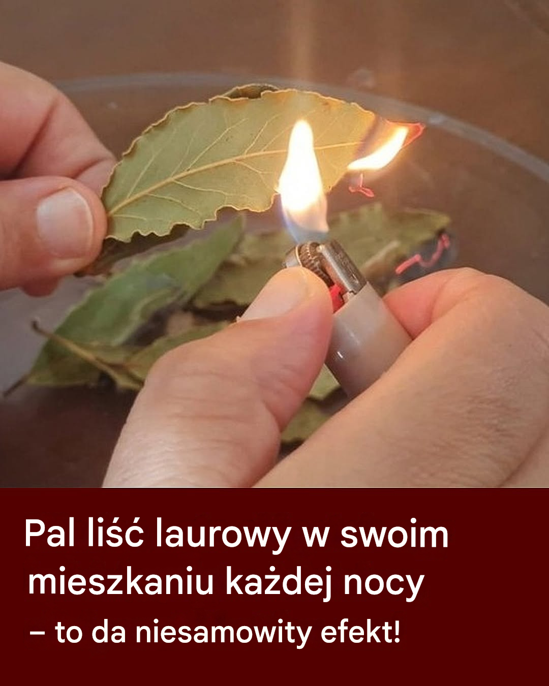 Translated image pl 2026 06 14T135449.220