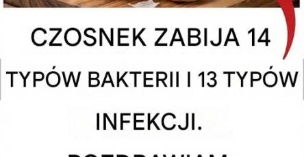 Translated image pl 2026 06 20T194714.838
