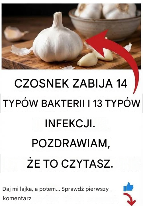 Translated image pl 2026 06 20T194714.838
