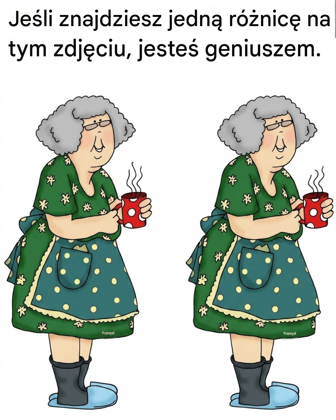 Translated image pl