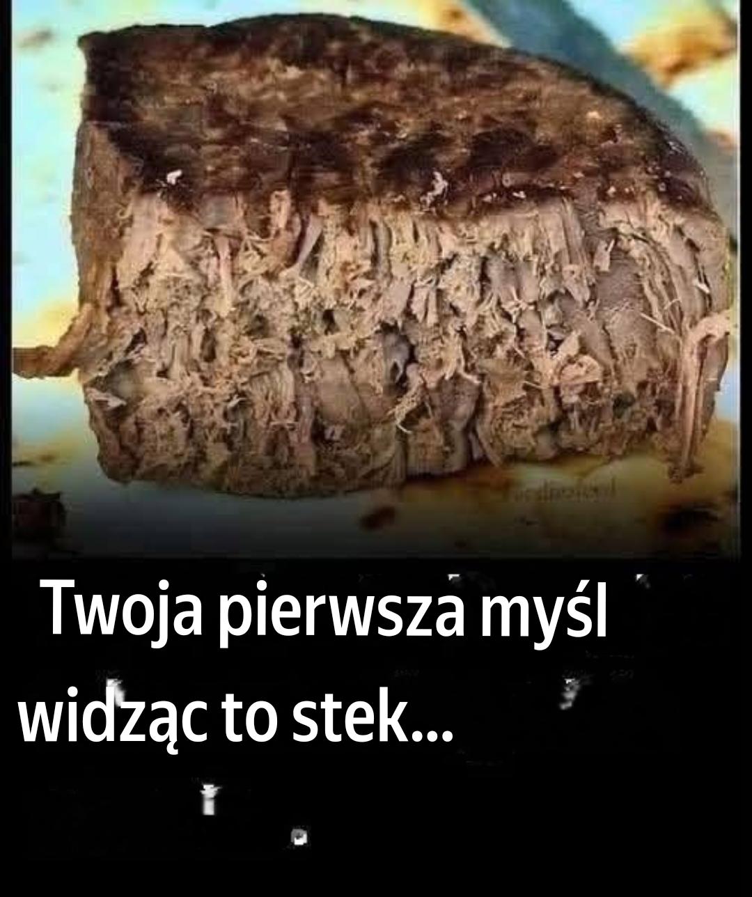 Translation 20260724