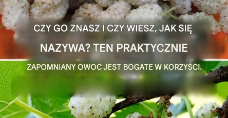 27a13190 f2d0 4c08 9c44 6dc9a2f69590
