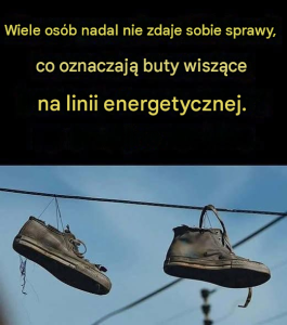 475c044a 166f 40b7 acc1 0322627bb181