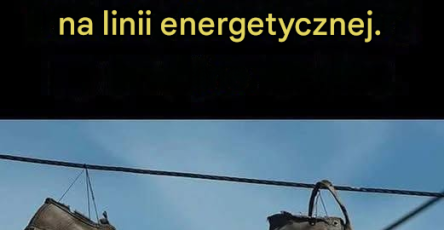 475c044a 166f 40b7 acc1 0322627bb181