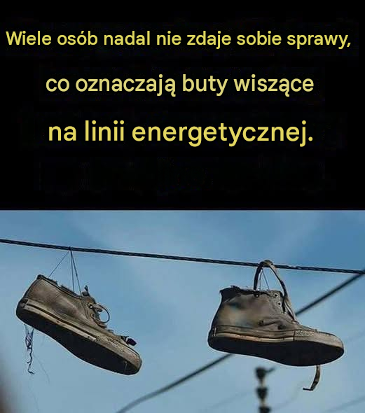 475c044a 166f 40b7 acc1 0322627bb181